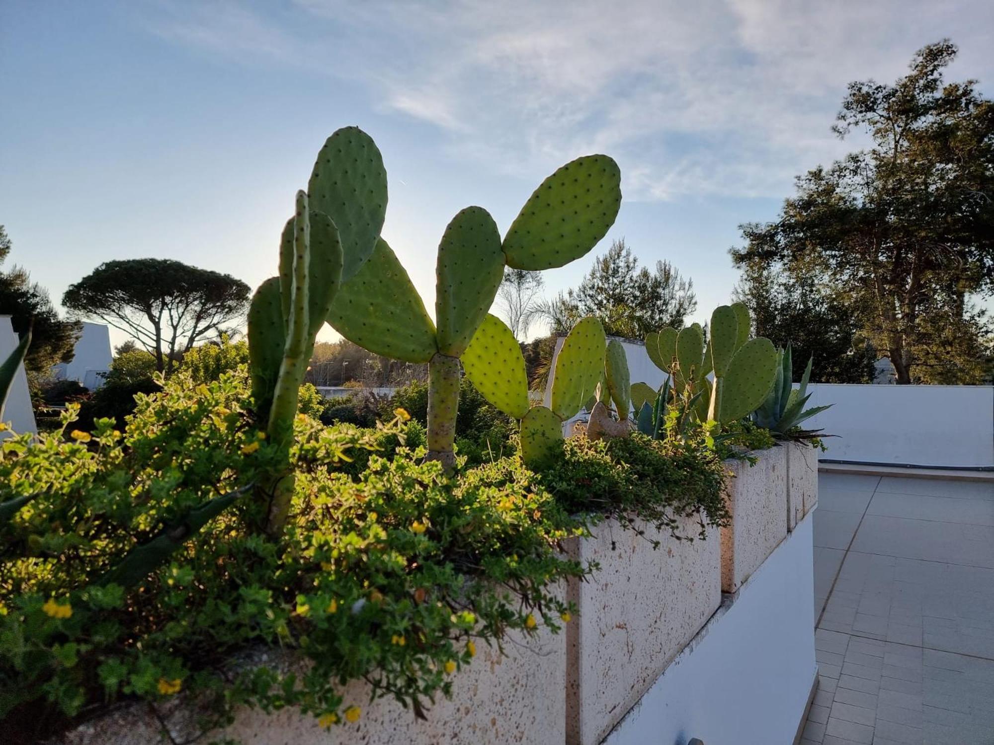 73059 Villa Ugento Exterior foto
